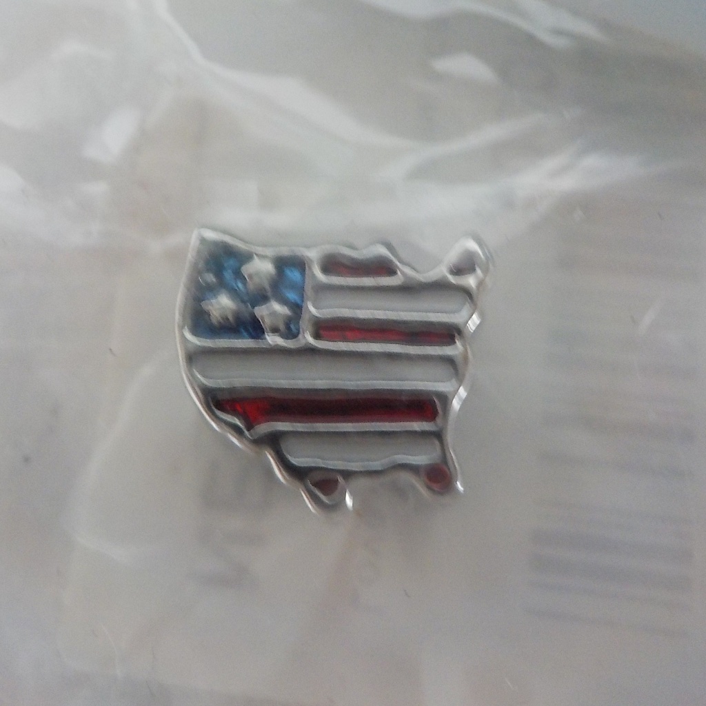 Usa Shaped Charm 10$